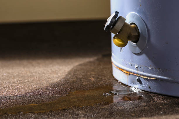 Best Residential water damage restoration  in Atmore, AL