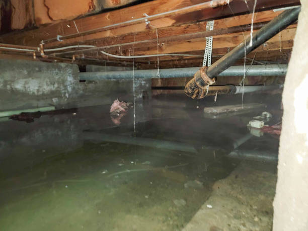  Atmore, AL Water damage restoration Pros