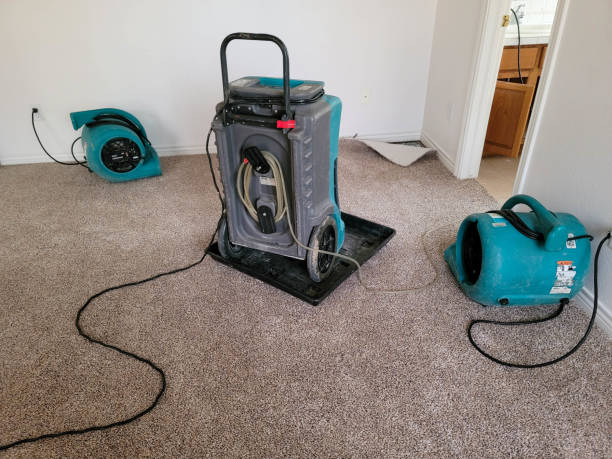 Local water damage restoration in AL