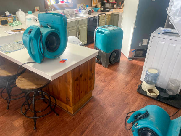 Best Professional water damage repair  in Atmore, AL