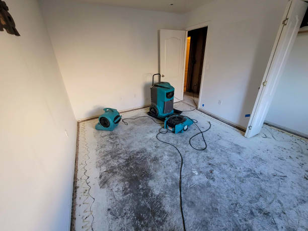Trusted AL Water damage restoration Experts
