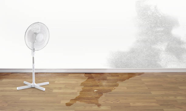 Best Flood restoration services  in Atmore, AL