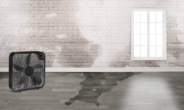 Best 24/7 water damage repair  in Atmore, AL