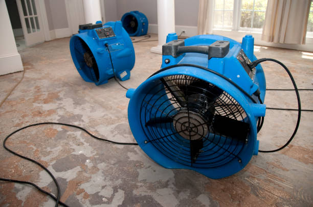 Best Basement water damage restoration  in Atmore, AL