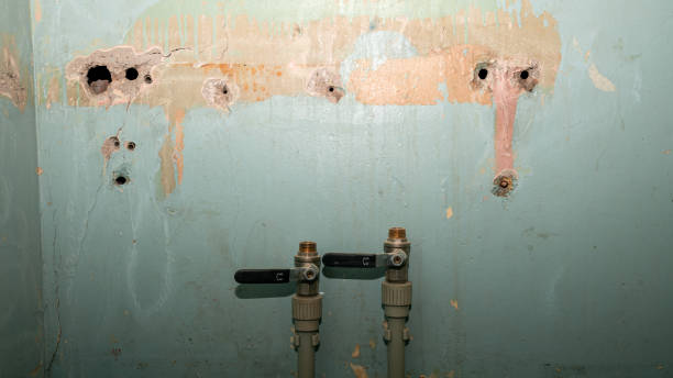 Best 24-hour water damage restoration  in Atmore, AL
