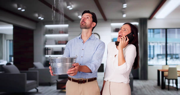 Best Local water damage restoration  in Atmore, AL