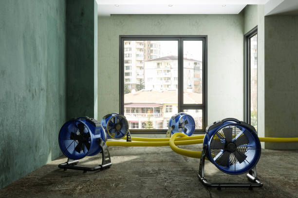 Best Local water damage restoration  in Atmore, AL